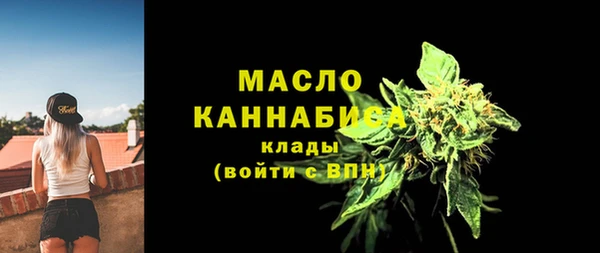 сатива Бородино