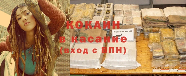 сатива Бородино
