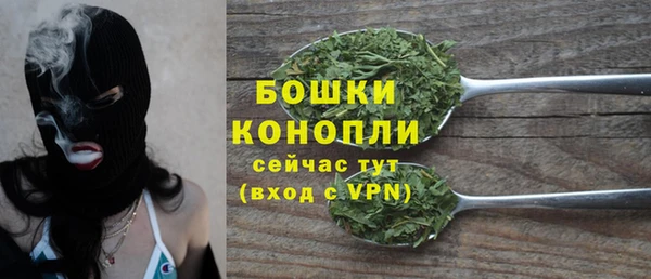 крисы Верея