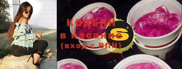 сатива Бронницы