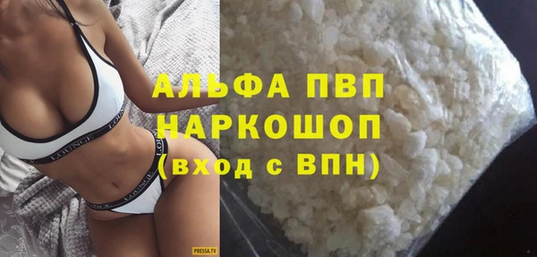 сатива Бородино
