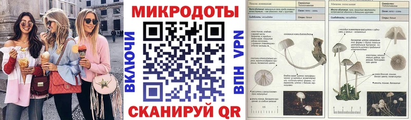 это какой сайт  Корсаков  Галлюциногенные грибы Magic Shrooms 