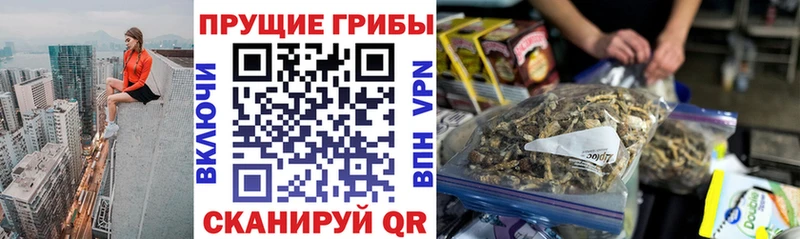 Псилоцибиновые грибы прущие грибы Корсаков